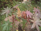 images/nature/1.jpg