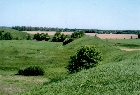 images/nature/11.jpg