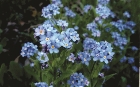images/nature/13.jpg
