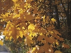 images/nature/14.jpg