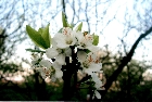 images/nature/16.jpg