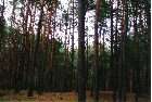 images/nature/18.jpg