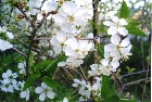 images/nature/19.jpg