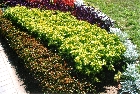 images/nature/20.jpg
