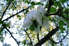 images/nature/21.jpg