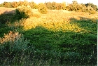 images/nature/23.jpg