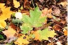 images/nature/24.jpg