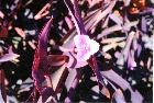 images/nature/28.jpg