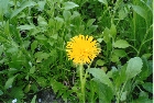images/nature/29.jpg