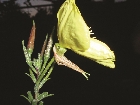 images/nature/3.jpg