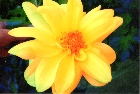 images/nature/30.jpg