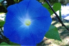 images/nature/32.jpg