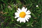 images/nature/33.jpg