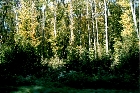 images/nature/4.jpg