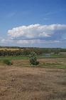 images/nature/50.jpg