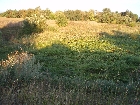 images/nature/52.jpg