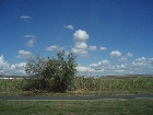 images/nature/55.jpg