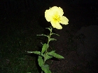 images/nature/6.jpg