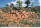 images/nature/60.jpg