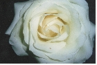 images/nature/65.jpg