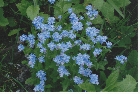 images/nature/66.jpg