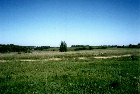 images/nature/9.jpg