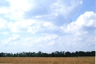 images/sky/24.jpg