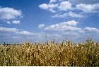 images/sky/31.jpg